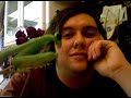 Boring Mantis