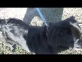Chevy - New Leash on Life - Part 1