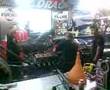 lamattina T/F start up