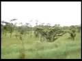 clip video Zambie Twalumba