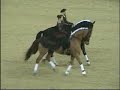 OTP Bank Lovas Vil�gkupa / Budapest Horse Show - Pas-de-deux