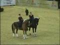 OTP Bank Lovas Világkupa / Budapest Horse Show - Pas-de-deux