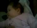 videos de ylli vogel