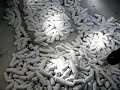 annette messager @ beaubourg juin 2007