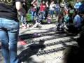 videos de Hamster Ball Race 2009 - Finals