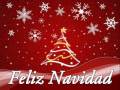 Especial Navideño 2011- Samuel Hernandez