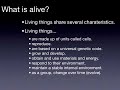Allaire Report - What is Biology?