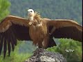jaen turismo parques naturales de jaén rjtv