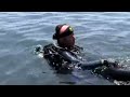Bali Diving Tulambem Drop Off Bali Diving Tulambem Drop Off