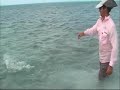 Cayo Largo Permit