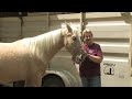 Best Places to Trail Ride