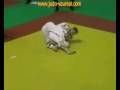 videos de AS Vauréal Judo - Coupe de France des Entreprises 2004/2005