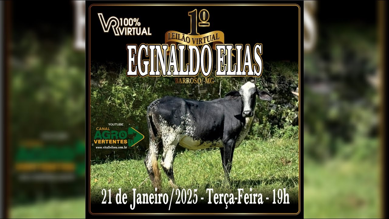 1º LEILÃO VIRTUAL EGINALDO ELIAS - 21/01/2025