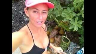 sex motywy ps hot women squirt alison teal nude on naked and afraid