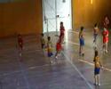 el plaer del bàsquet