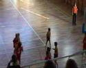 el plaer del bàsquet