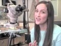 Jewelry Stores | Custom Engagement Rings San Diego California - Vanessa Nicole Jewels