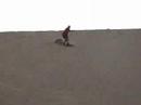 Sandboard en Huacachina