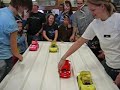 honeybear at the hamster race