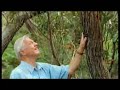 I Hate Nature - David Attenborough