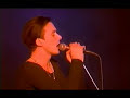Suede - The Next Life