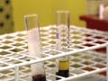 Biomarker Revolution in Cancer Medicine