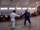 Hayashi Jiujitsu Tournament Carlos 1