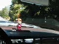 Driving the Fintail