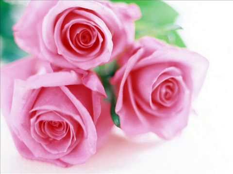 FOR LOVER'S ONLY by djbenz.wmv