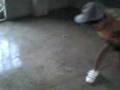 videos de en el bloque 5
