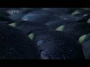 Planet Earth In Rainbows Part 1 Planet Earth In Rainbows Part 1