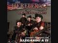Los Herederos De Nuevo Leon Tu Dices Cuando Official Music Video and Lyrics