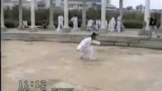 chinese wudang kungfureal kungfu