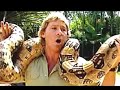 Steve Irwin- the real True Blue vol 2