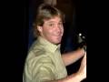 Steve Irwin- the real True Blue vol 2