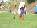 Schutzdienst Schäferhund Schutzdienst Schäferhund