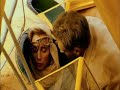 The English Patient