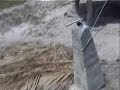 Gulliver the Macaw stranded on Fanning Island, Kiribati
