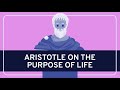 argumentul functiei aristotle biography argumentul functiei aristotle biography