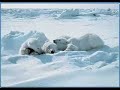 Reduce, Reuse, Recycle - an ecology song Reduce, Reuse, Recycle - an ecology song