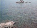 Spiaggia del Club Scannalla - Isola d'Ischia