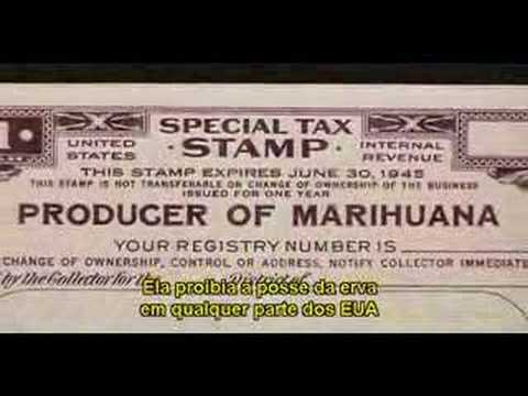 GRASS - Maconha - PARTE 2 - A VERDADE QUE POUCOS SABEM E MUITOS DEVIAM SABER
