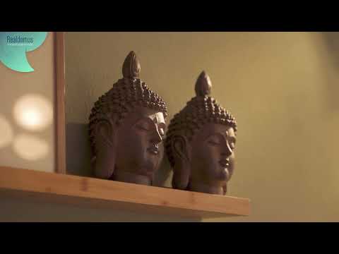 Video Prodej, relaxační/jogové centrum 267 m2, pozemek 1.528 m2, Zátaví u Písku