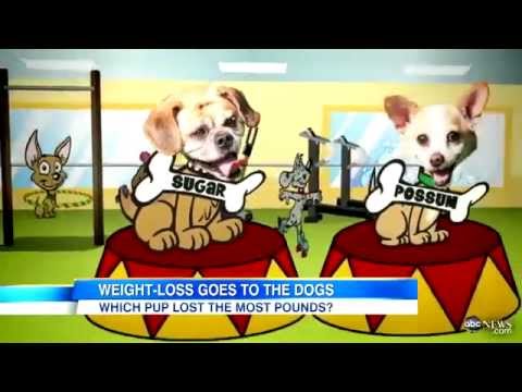 Putting Dogs on a Diet