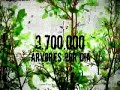 Amazon Place - Greenpeace Amazon Place - Greenpeace