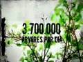 Amazon Place - Greenpeace