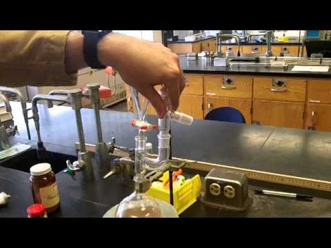 how to isolate eugenol