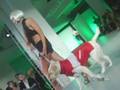 Pet Fashion Week NYC .mov