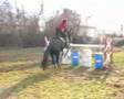 Czarne - skoki - marzec 2008r