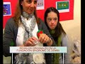 Down syndrome:&nbsp;S�ndrome de Down: Mucho que decir